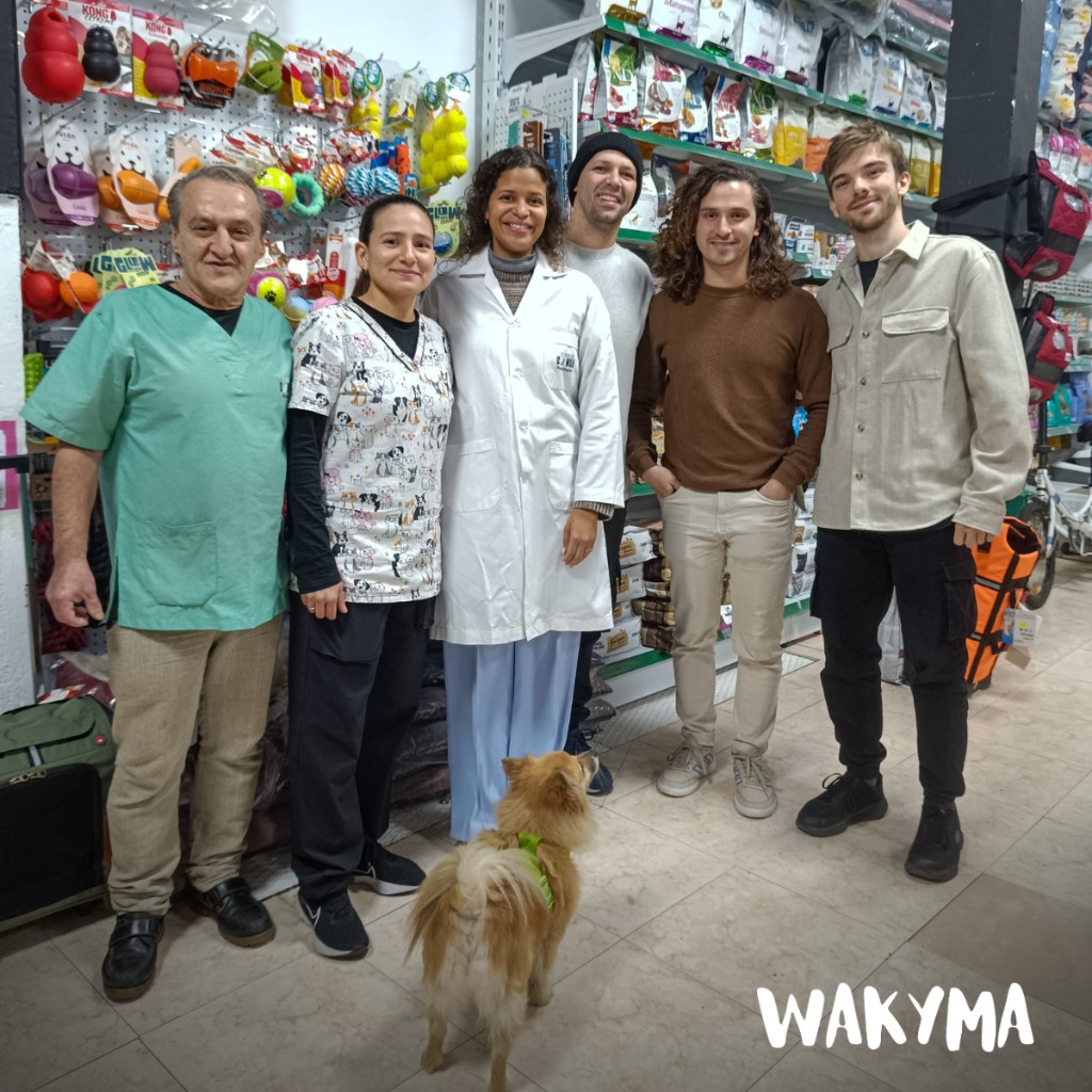 On-site visit at a real veterinary clinic (2/5)
