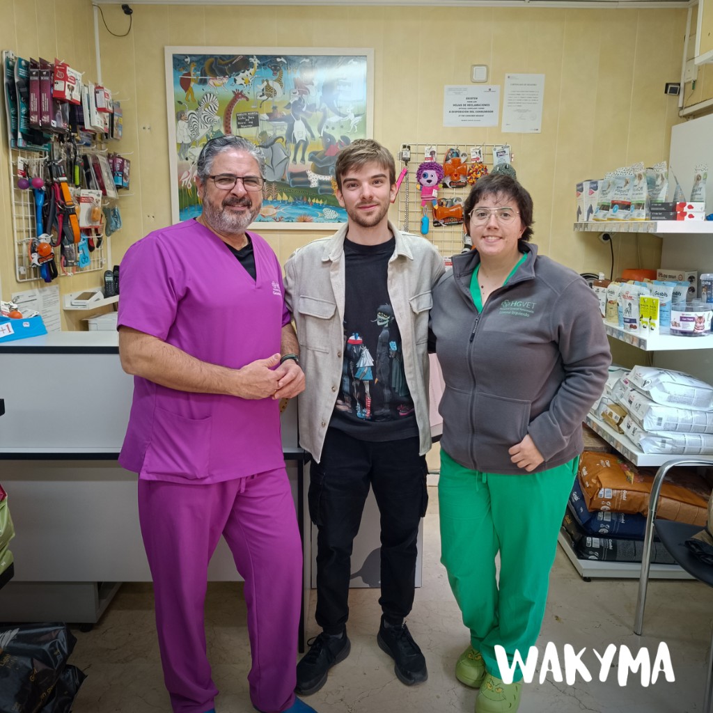 On-site visit at a real veterinary clinic (5/5)