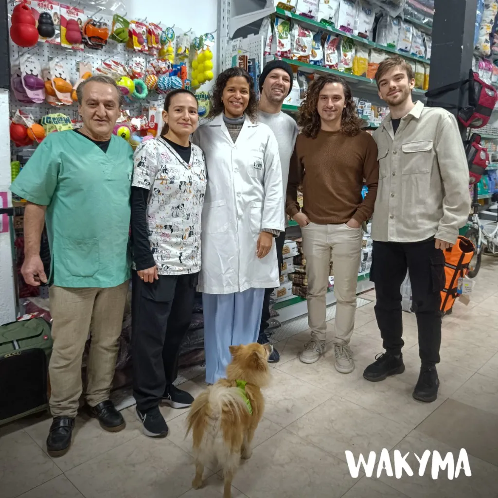On-site visit at a real veterinary clinic (2/5)