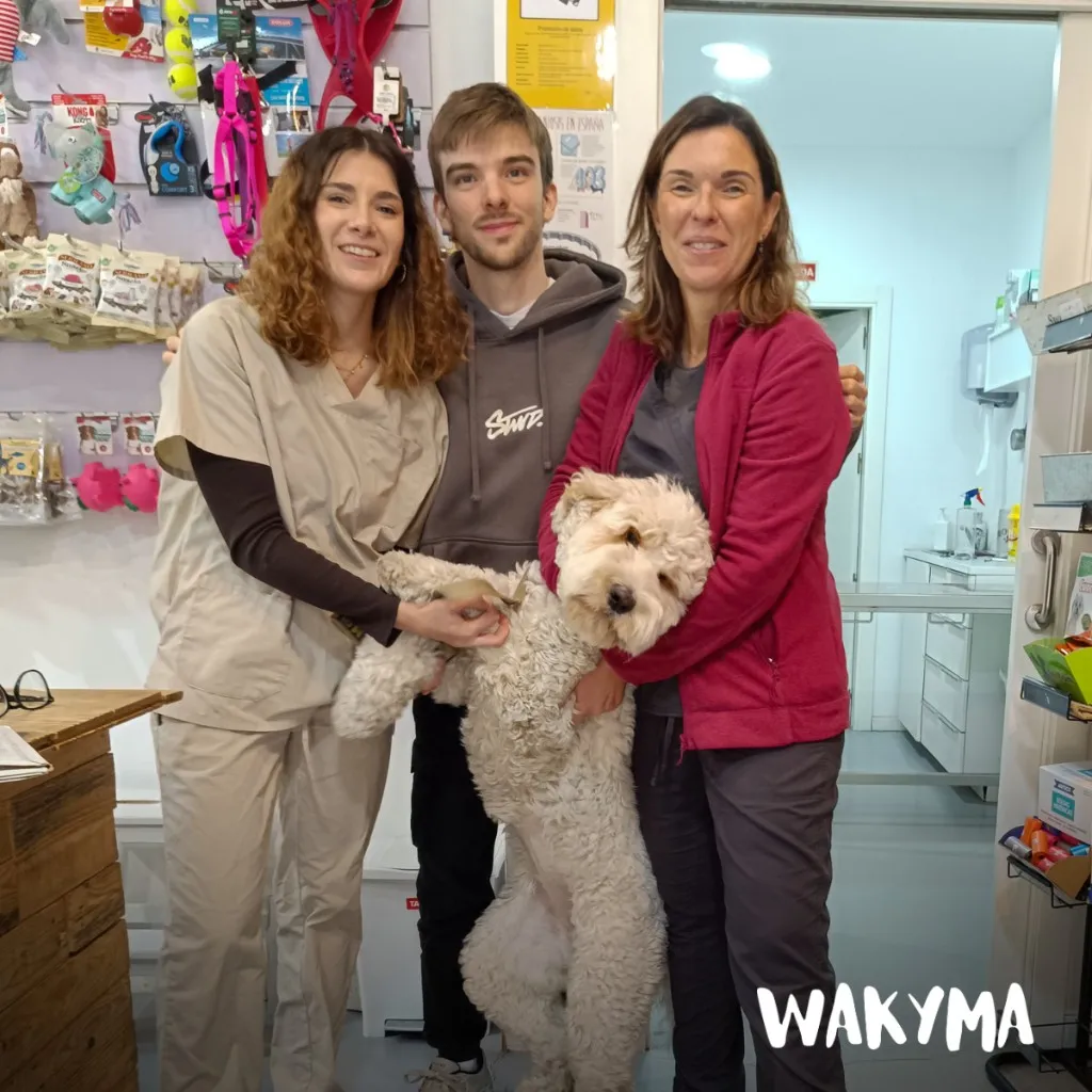 On-site visit at a real veterinary clinic (3/5)