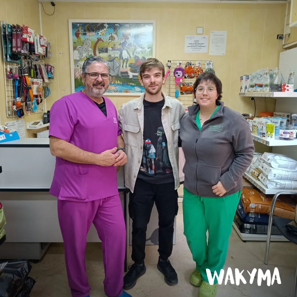 On-site visit at a real veterinary clinic (5/5)